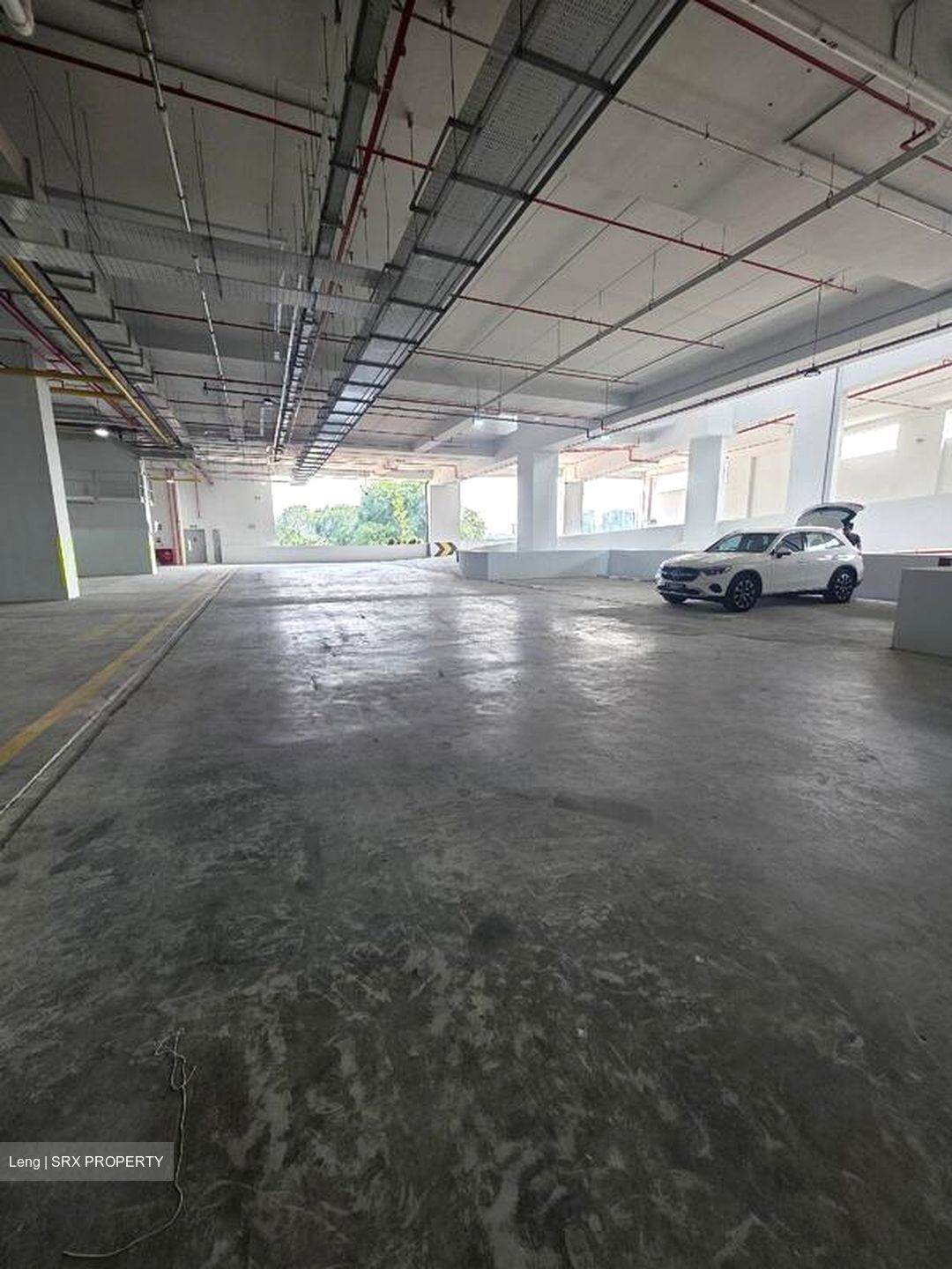 Ct Foodnex (D25), Factory #498192261